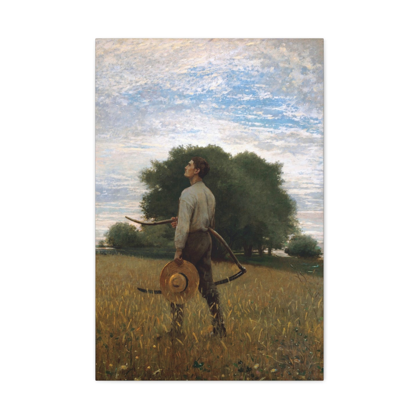 Song of the Lark - Canvas Wrap