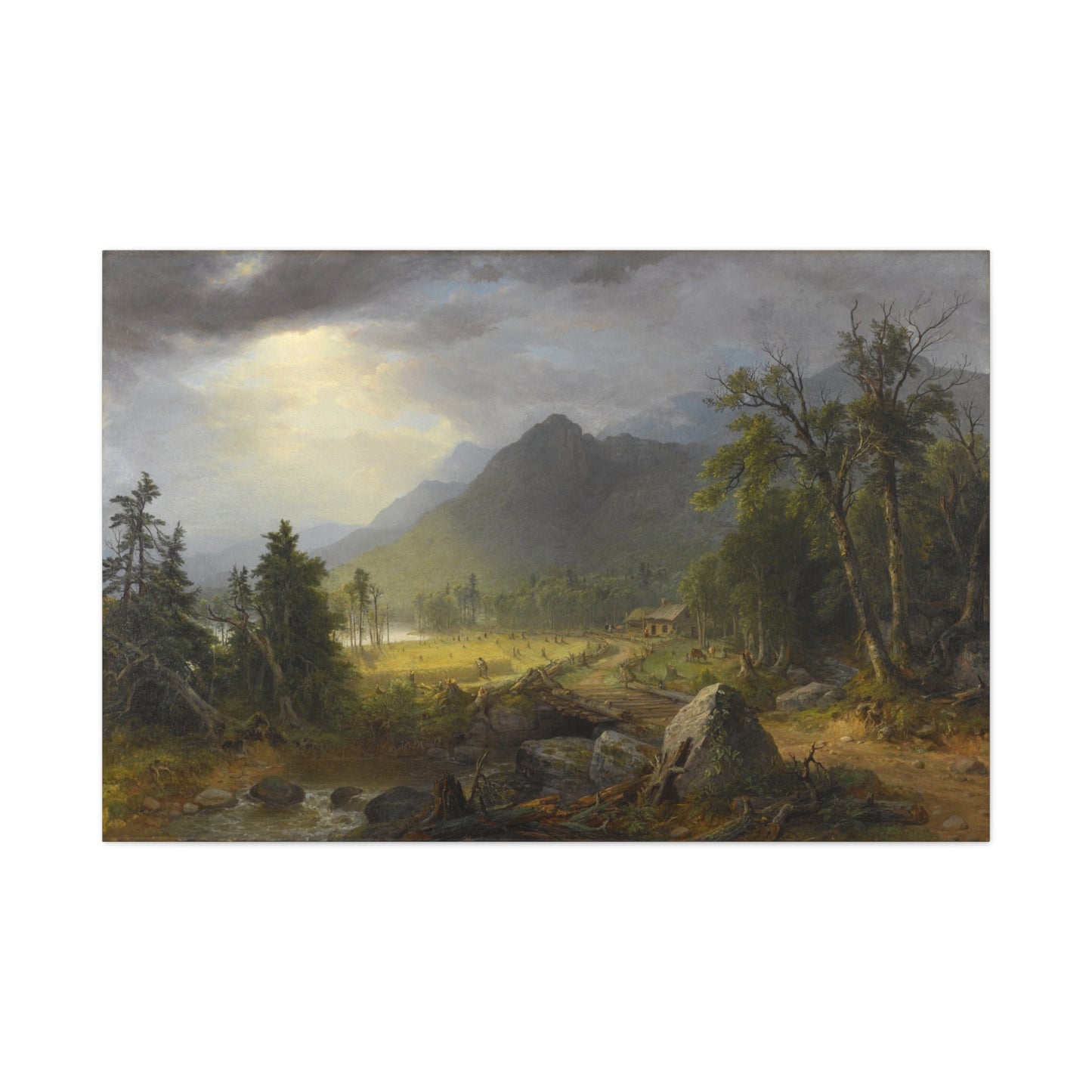 The First Harvest in the Wilderness - Canvas Wrap