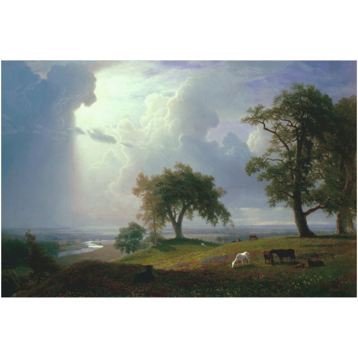 California Spring - Canvas Wrap