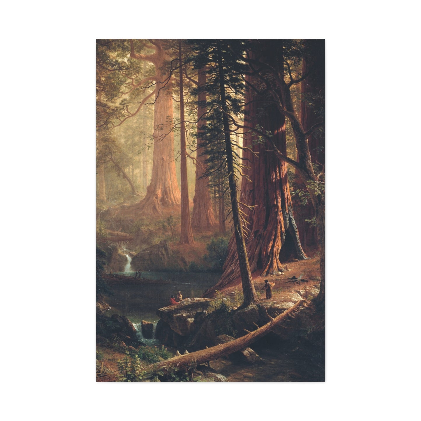 Giant Redwood Trees of California - Canvas Wrap
