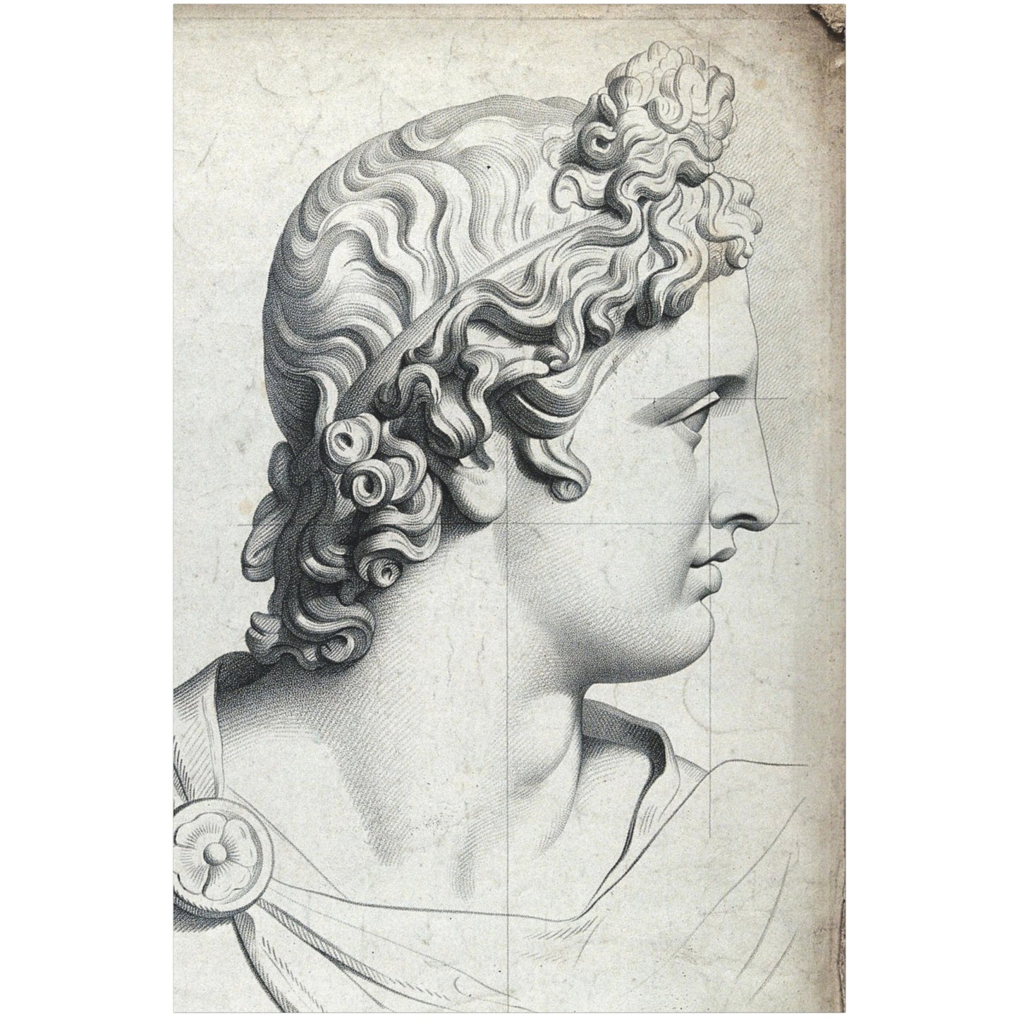 Apollo Belvedere - Canvas Wrap