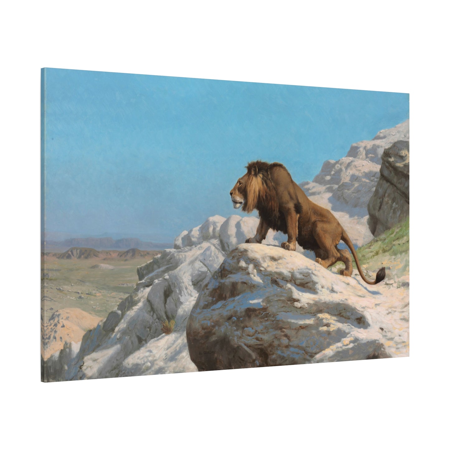 Lion on the Watch - Canvas Wrap