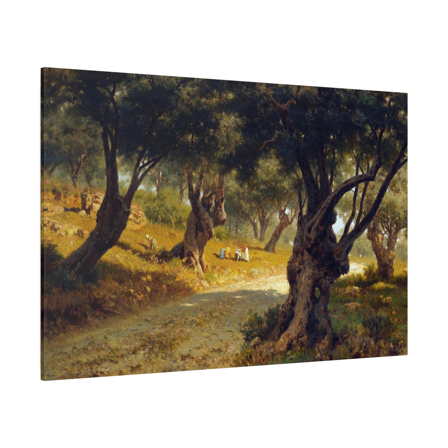 Poppies and Olive Trees - Canvas Wrap