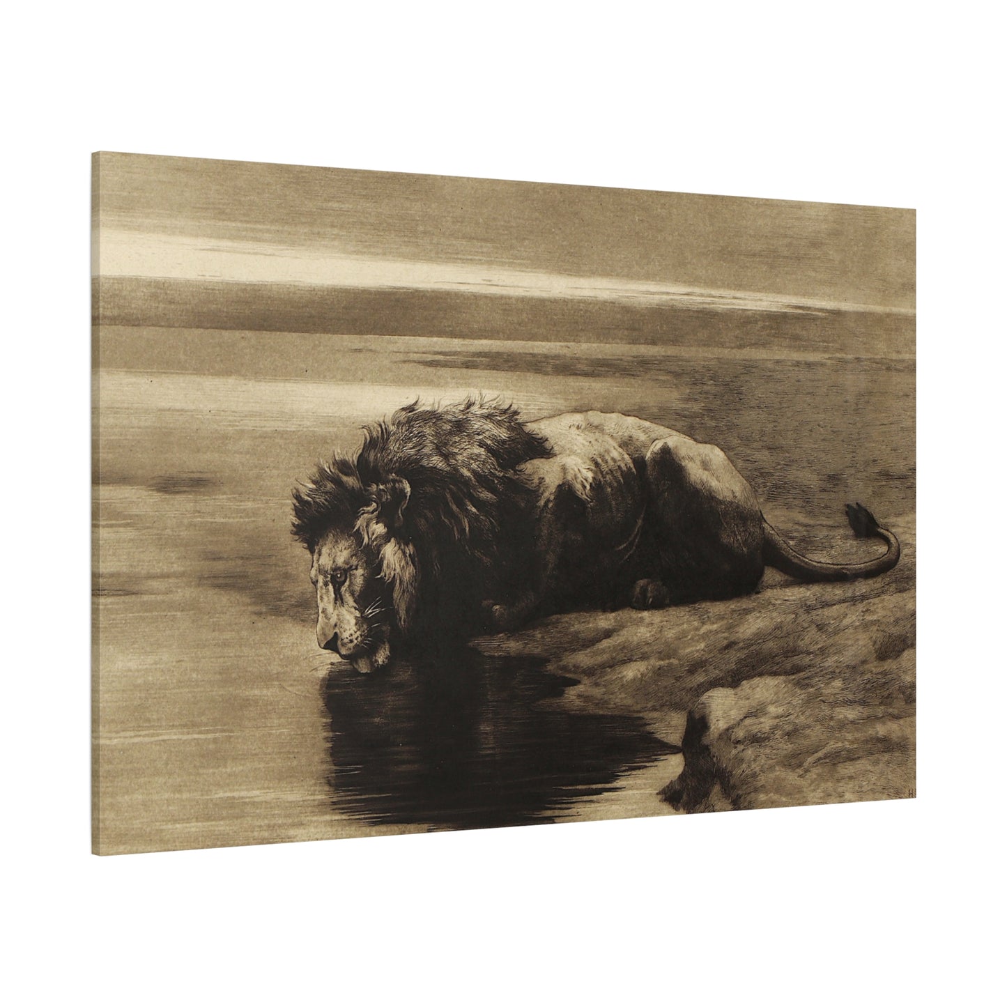 Solitude - Canvas Wrap