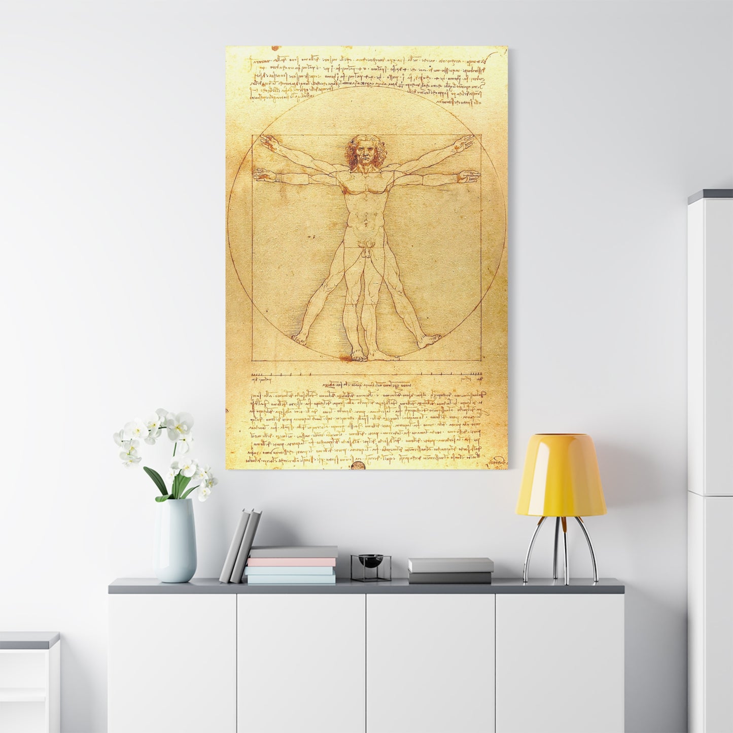 Vitruvian Man - Canvas Wrap