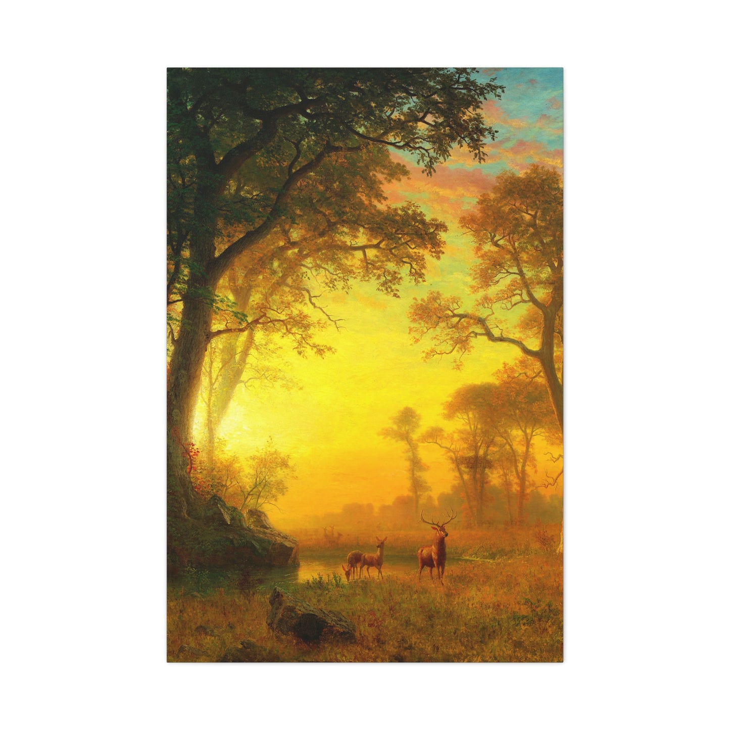 Light in the Forest - Canvas Wrap