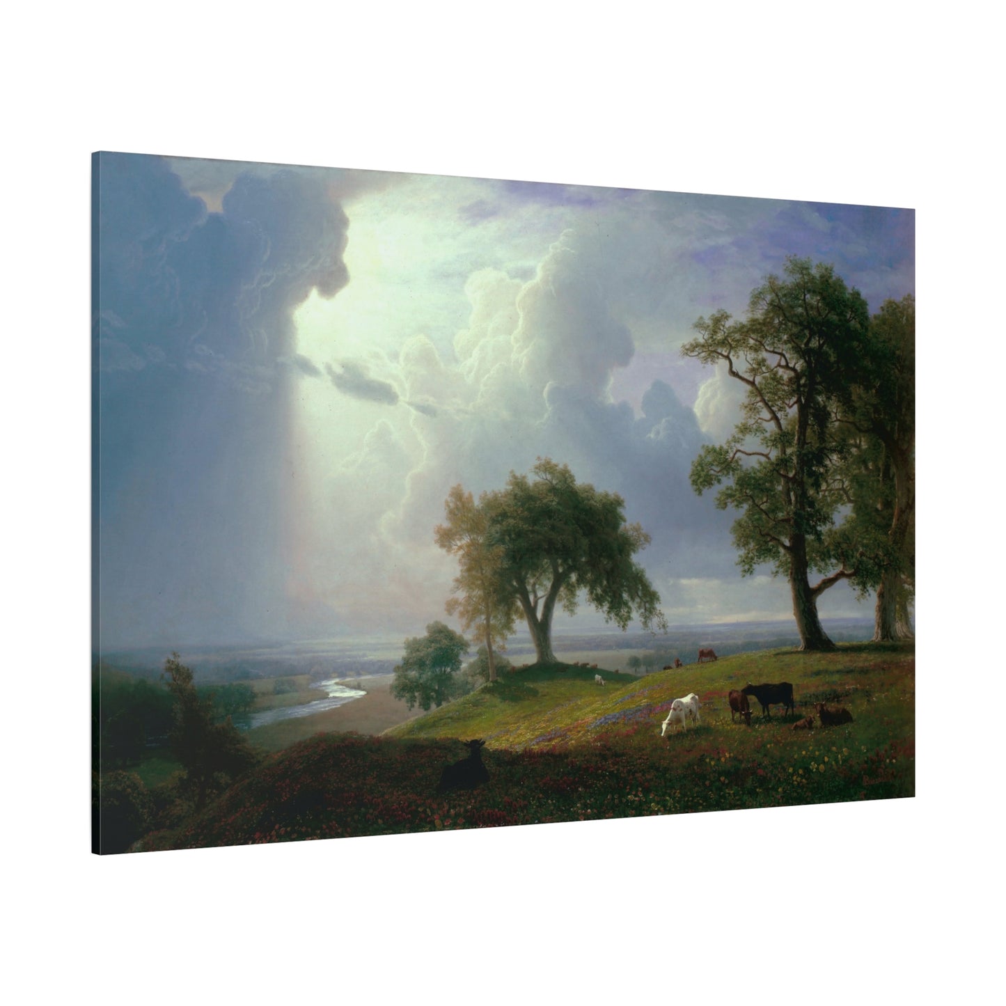 California Spring - Canvas Wrap