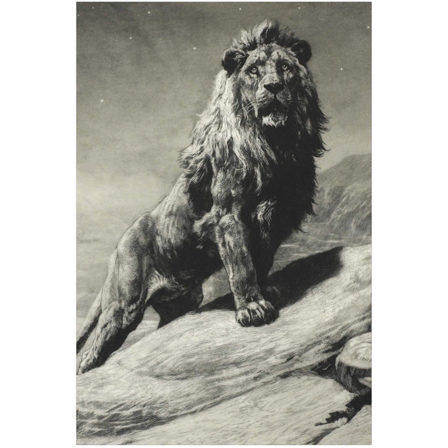 The King - Canvas Wrap