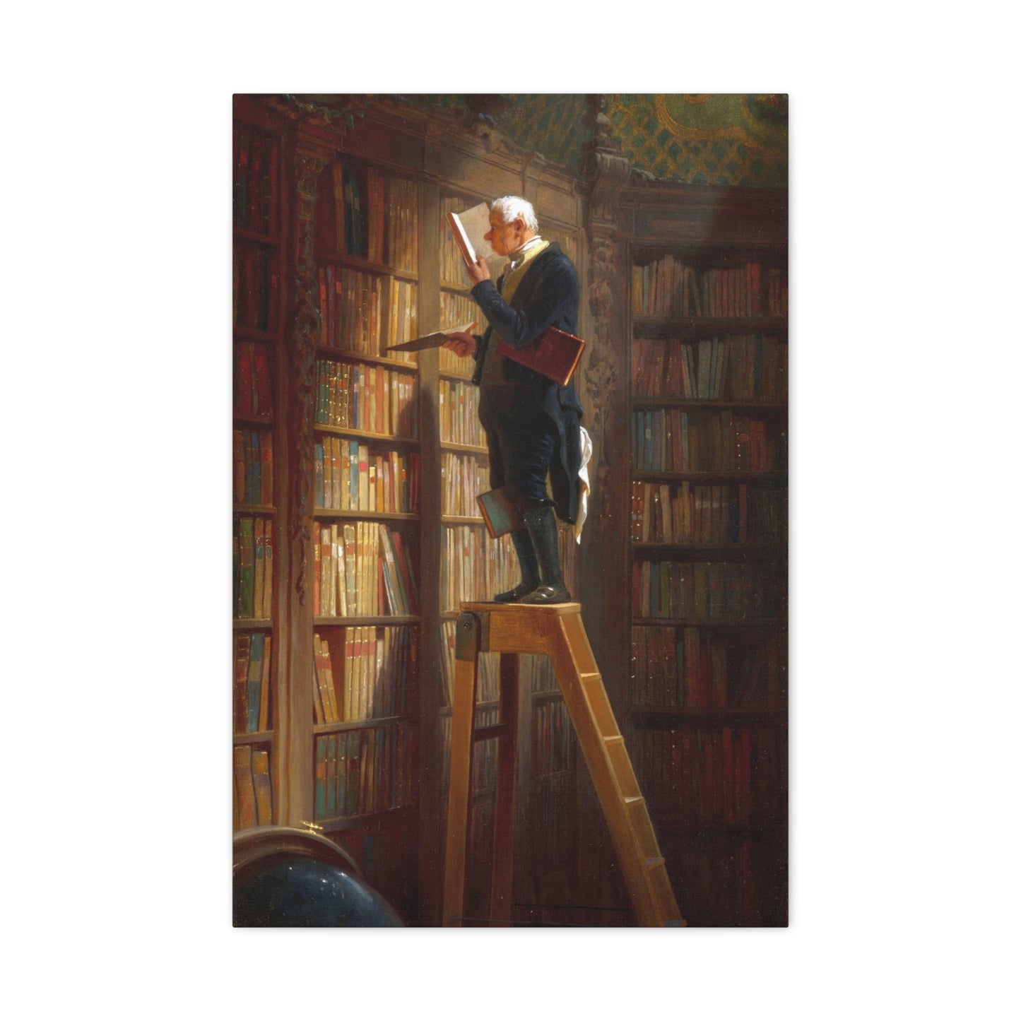 The Bookworm - Canvas Wrap
