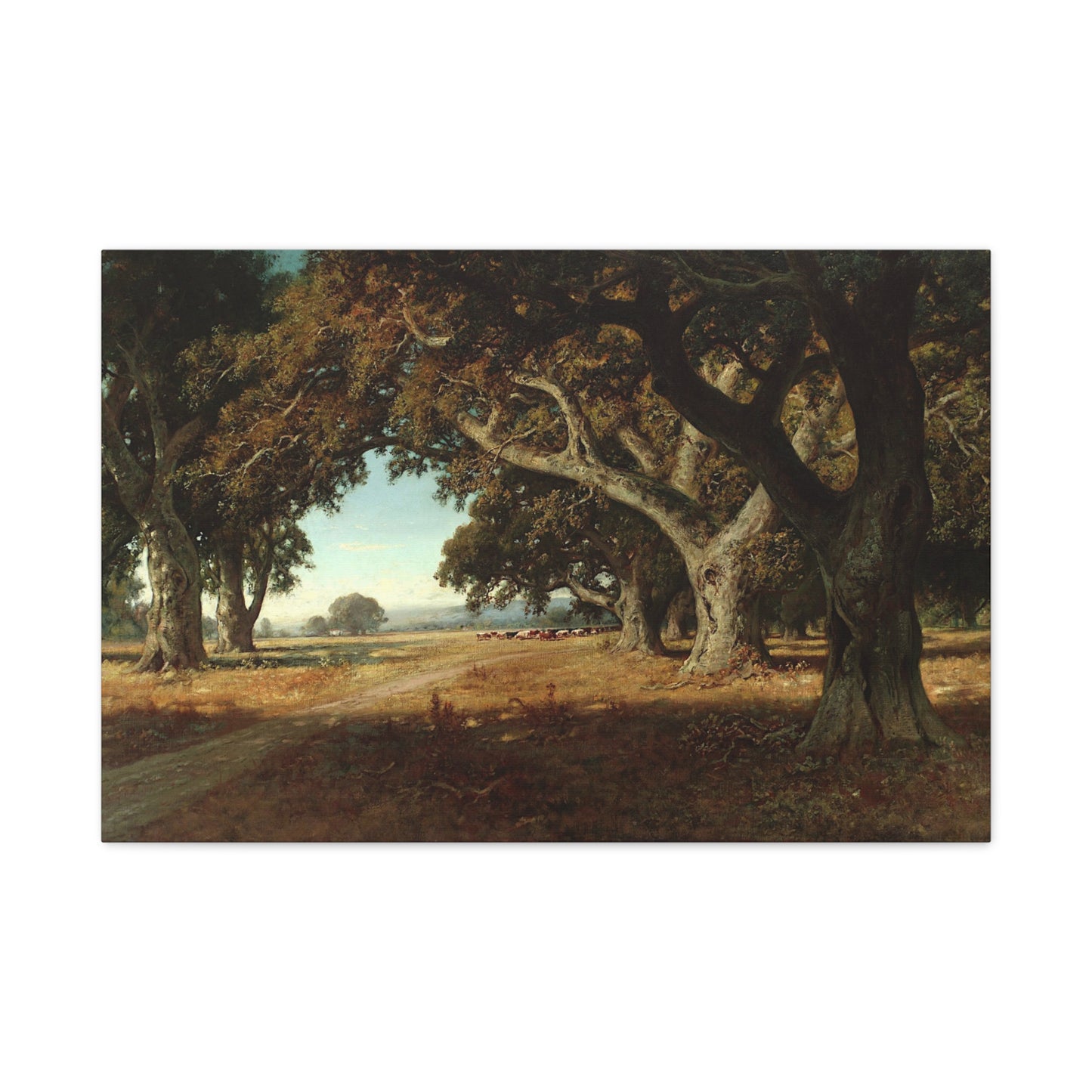 California Ranch - Canvas Wrap