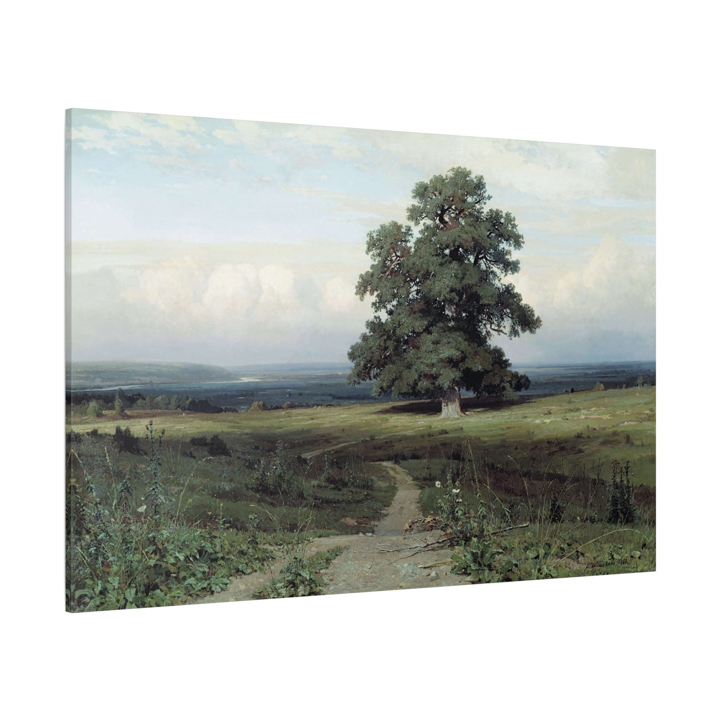 Among the Open Valley - Canvas Wrap