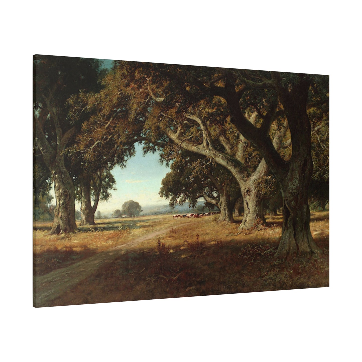 California Ranch - Canvas Wrap
