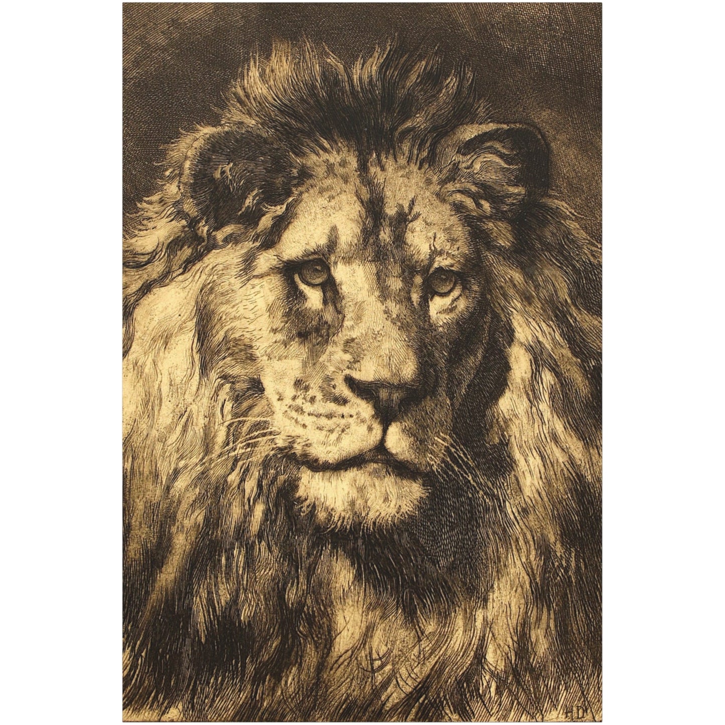 His Royal Highness - Canvas Wrap