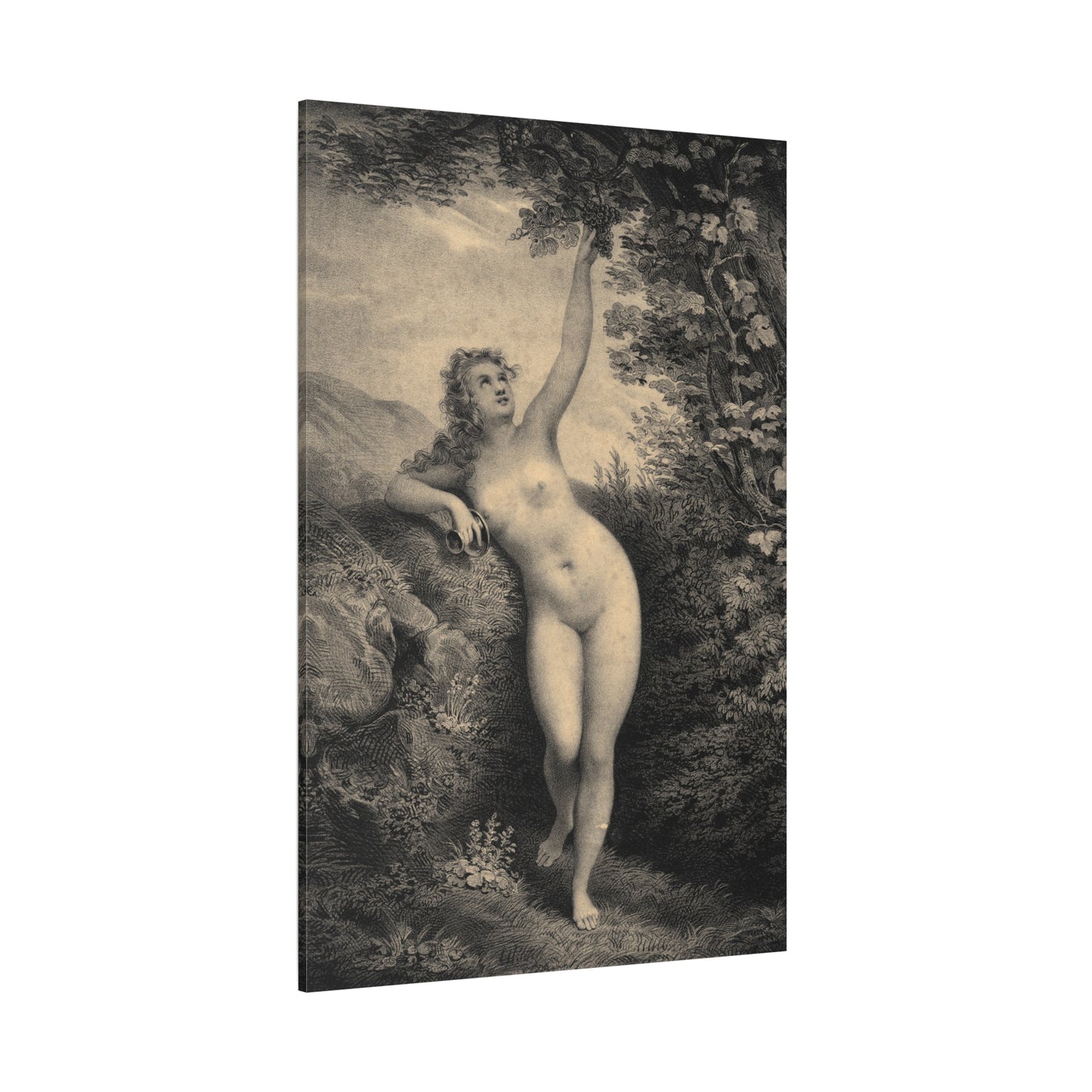Erigone - Canvas Wrap