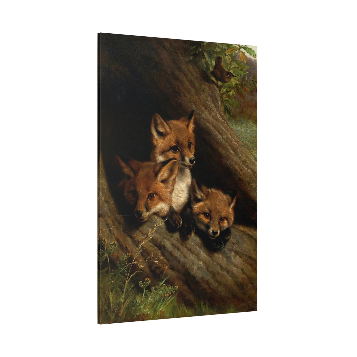 Young Foxes in a Hollow Tree - Canvas Wrap