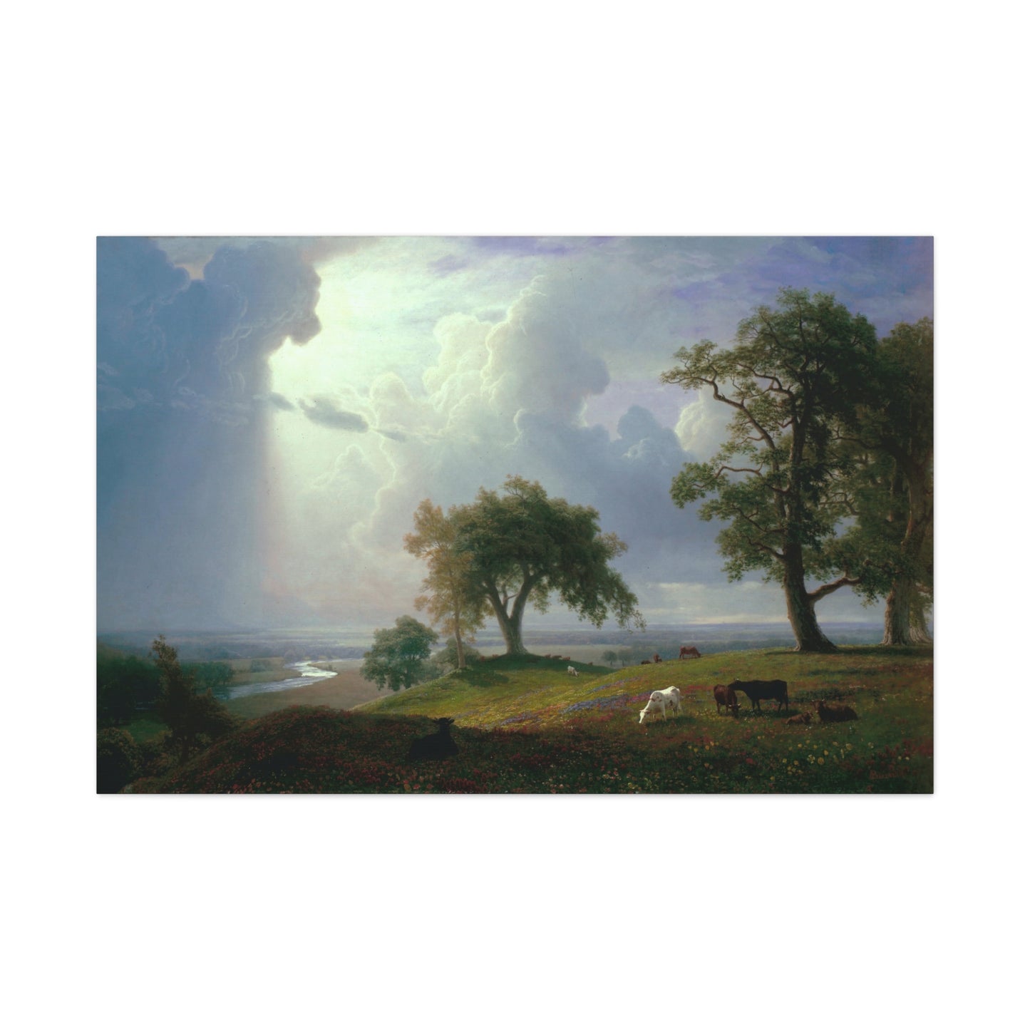 California Spring - Canvas Wrap