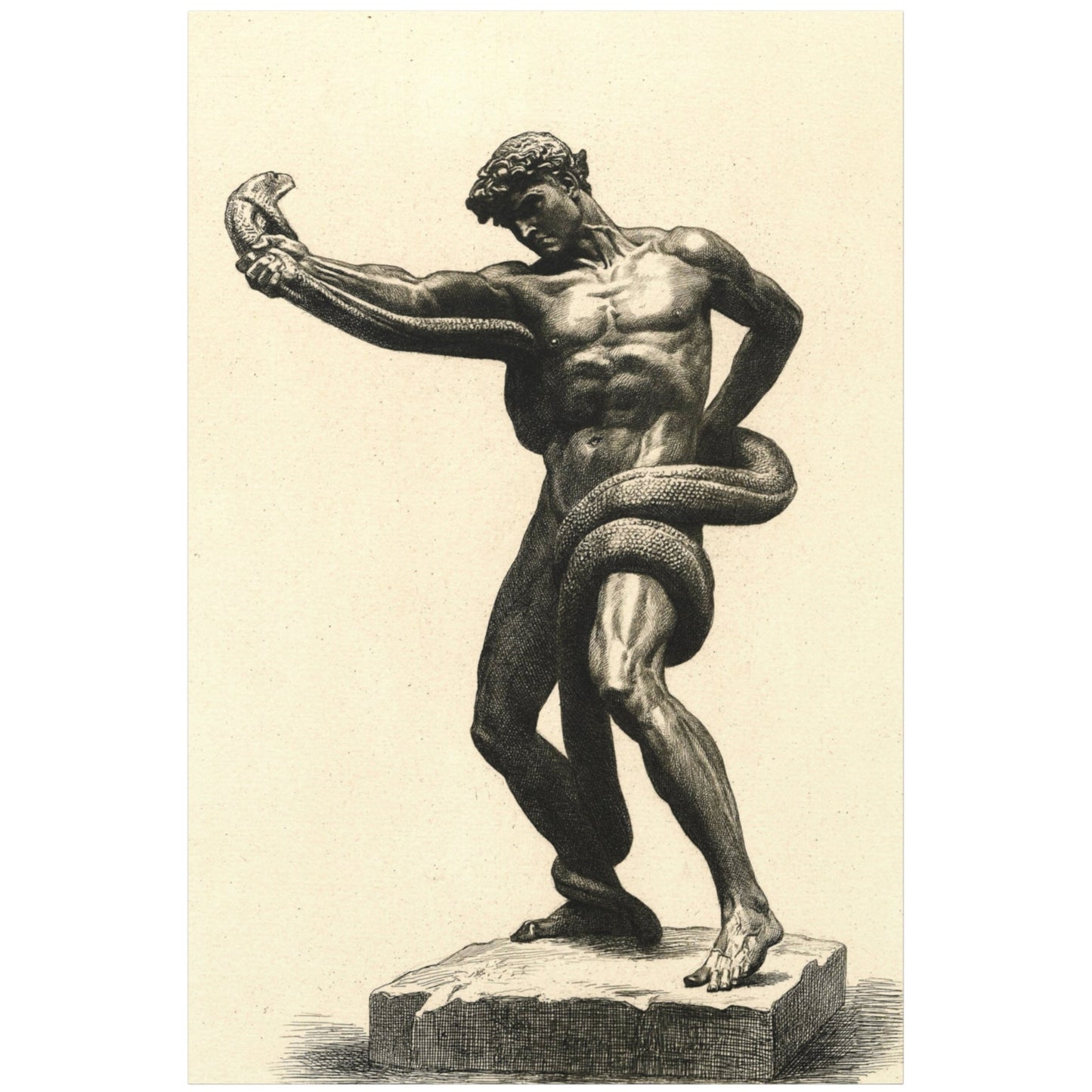 The Athlete Wrestling a Python - Canvas Wrap
