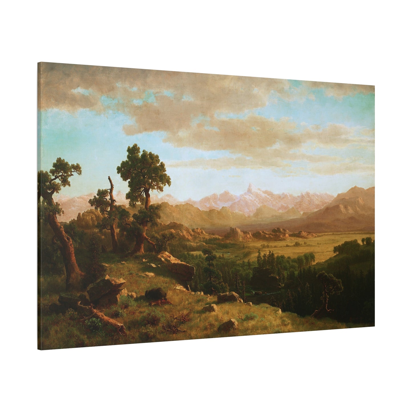 Wind River Country - Canvas Wrap