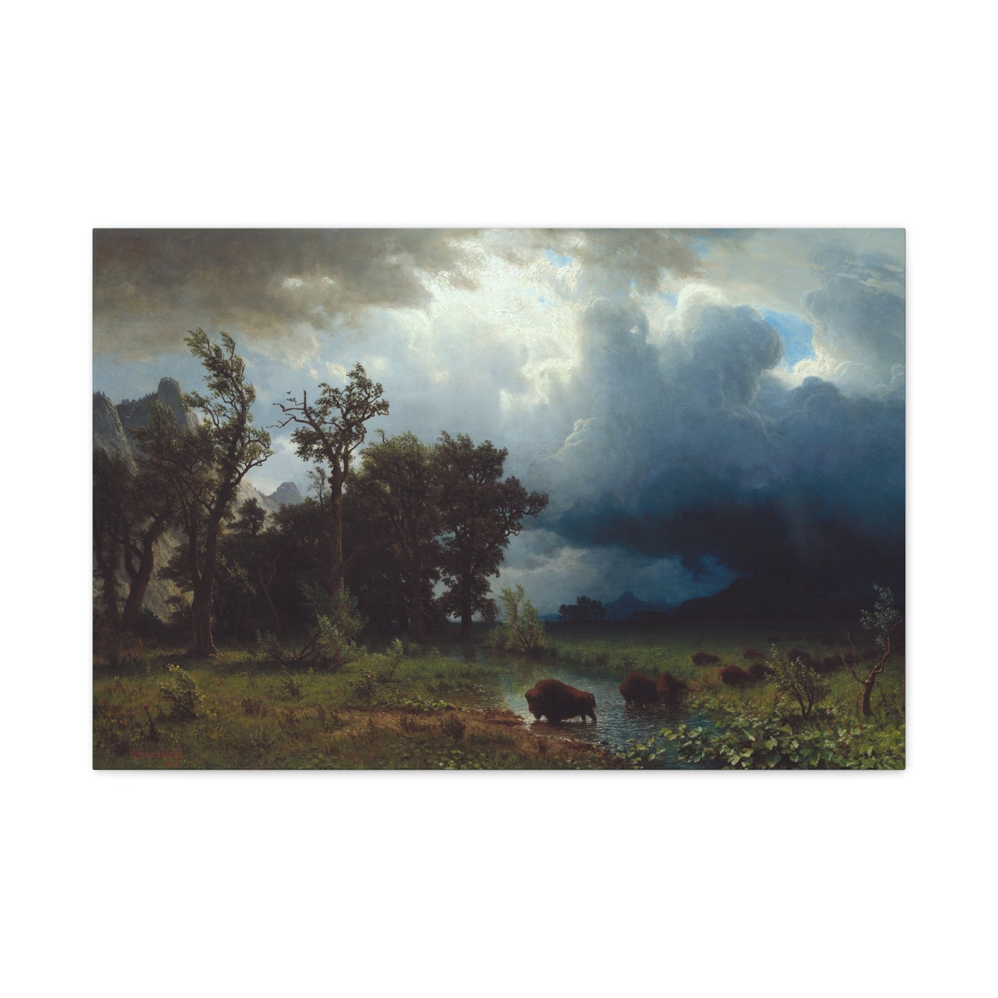 Buffalo Trail, The Impending Storm - Canvas Wrap