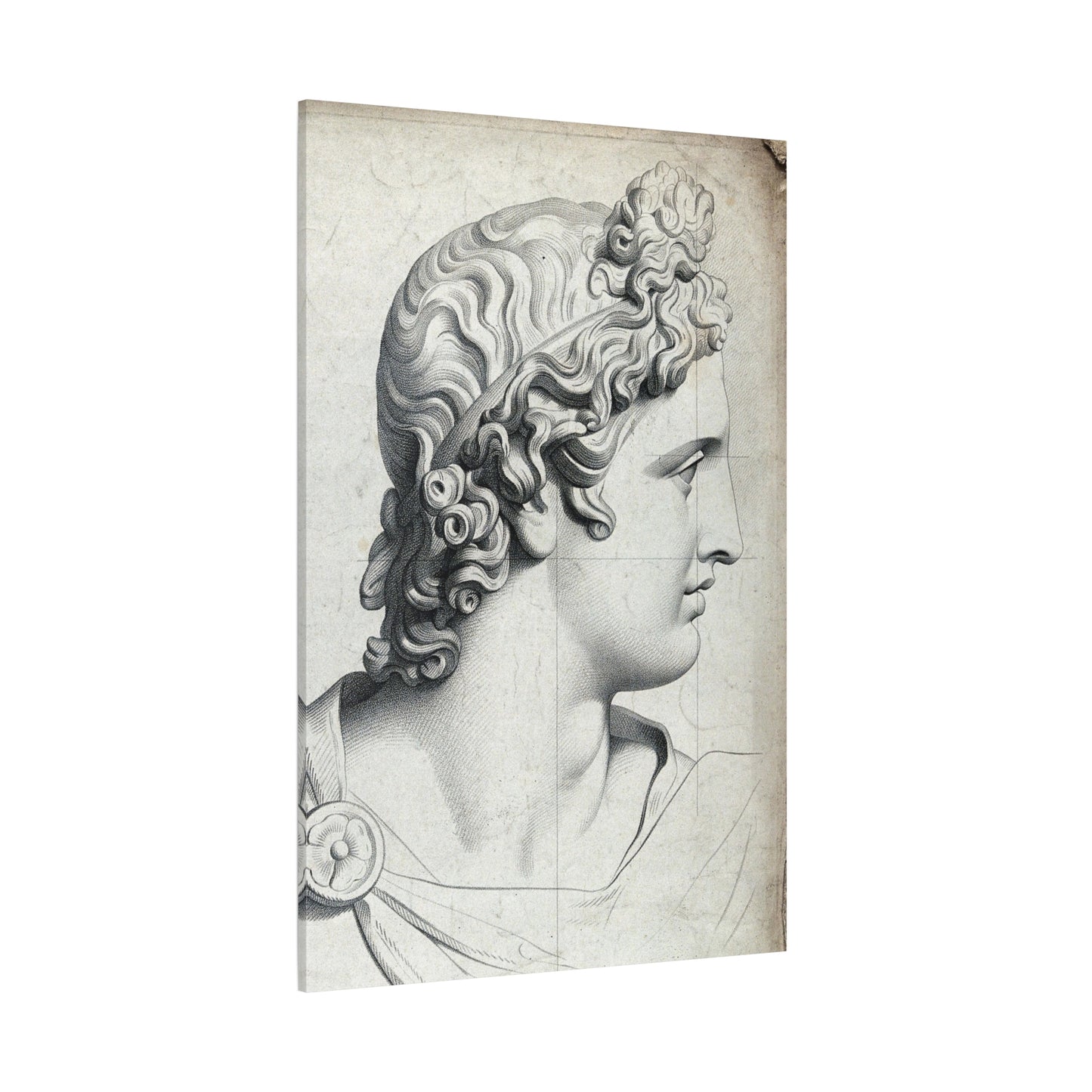 Apollo Belvedere - Canvas Wrap