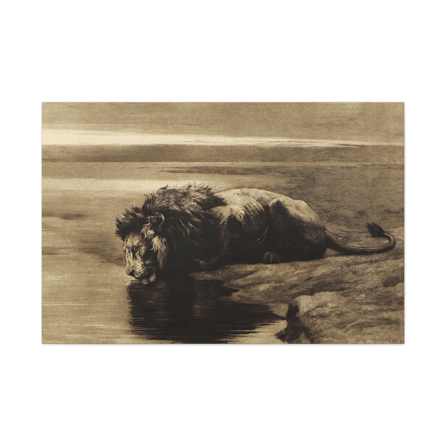 Solitude - Canvas Wrap
