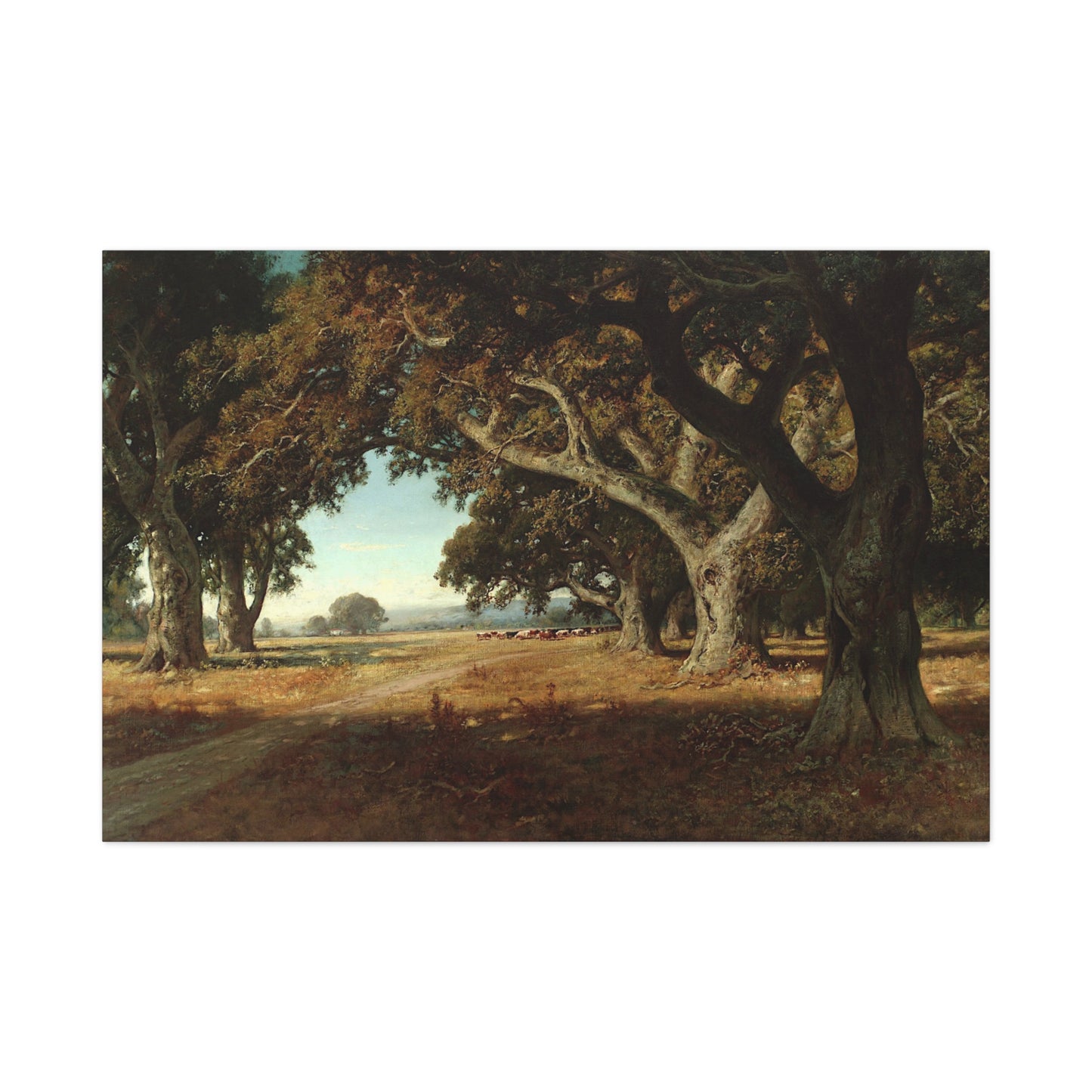 California Ranch - Canvas Wrap
