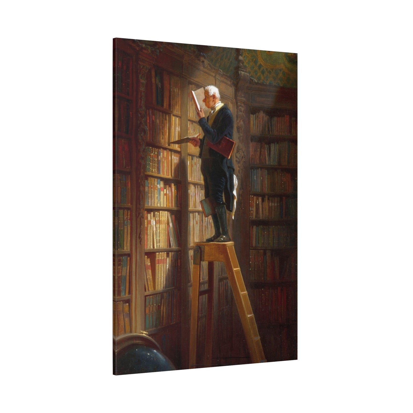 The Bookworm - Canvas Wrap