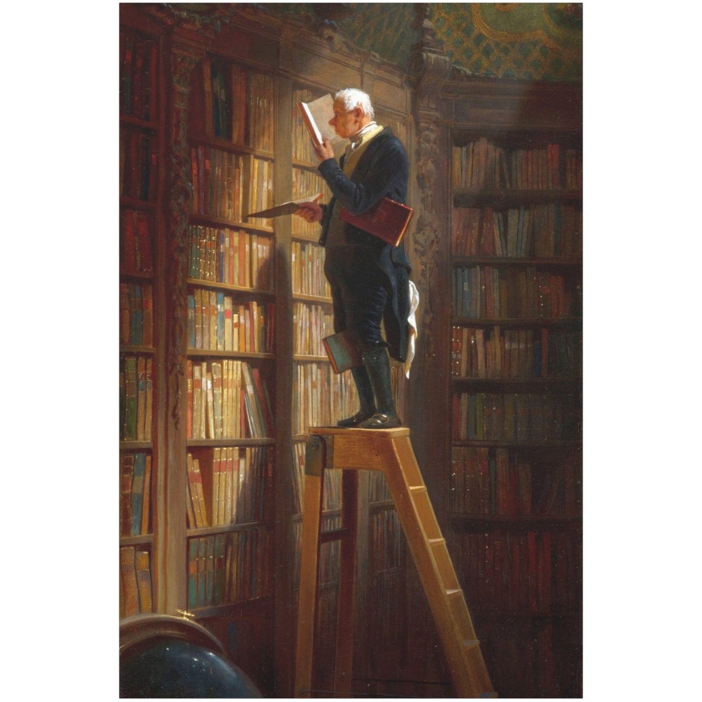 The Bookworm - Canvas Wrap