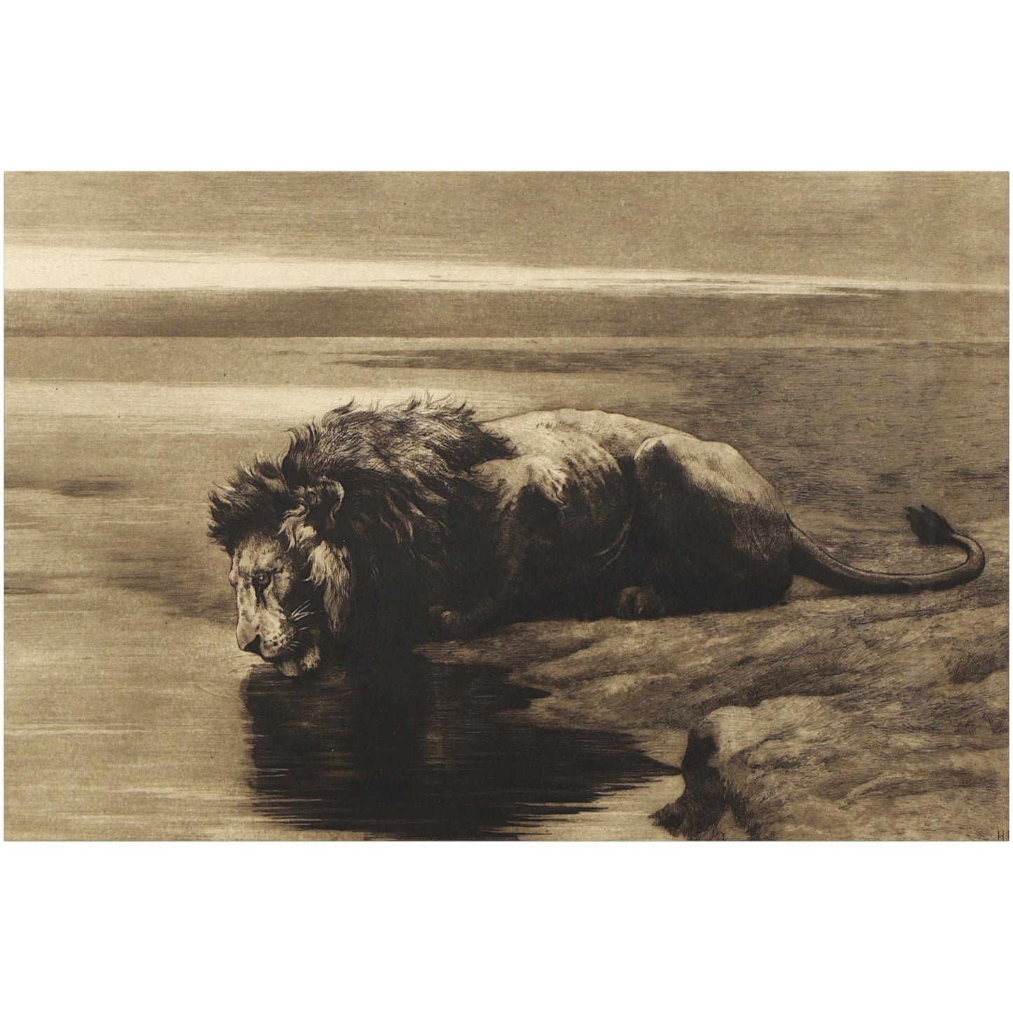 Solitude - Canvas Wrap