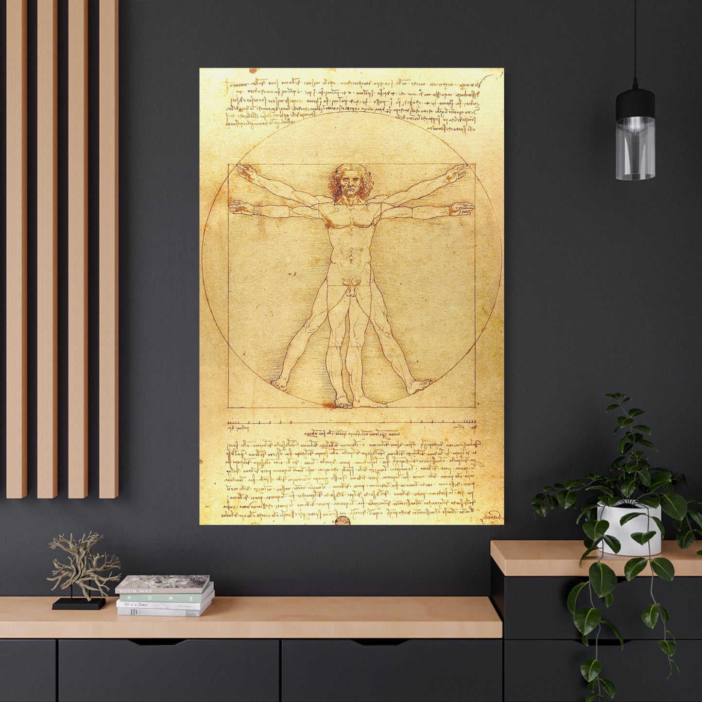 Vitruvian Man - Canvas Wrap