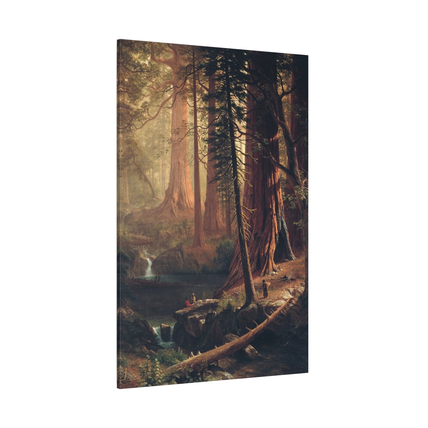 Giant Redwood Trees of California - Canvas Wrap