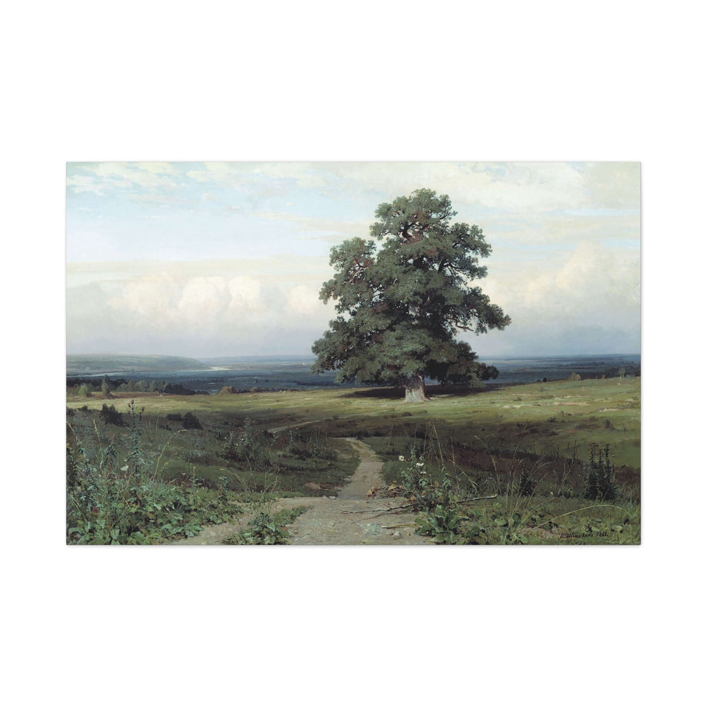 Among the Open Valley - Canvas Wrap