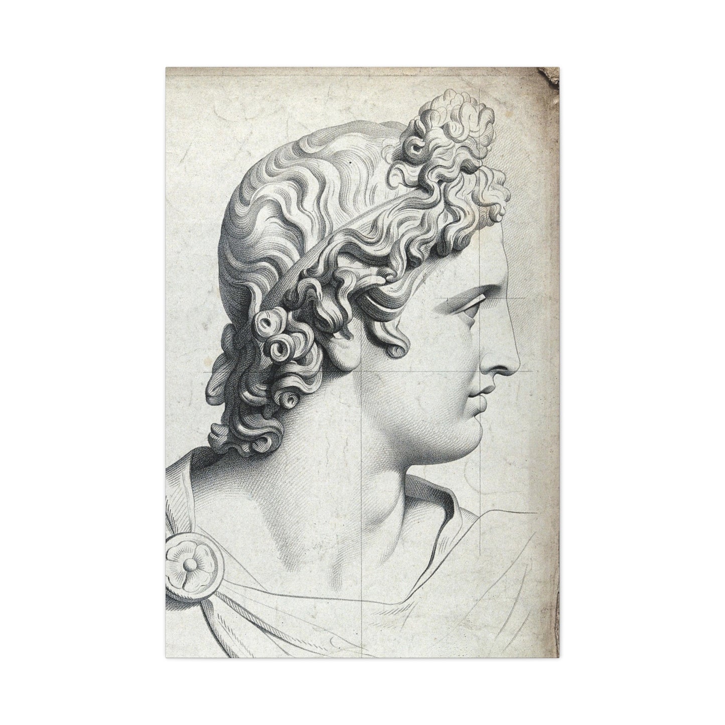 Apollo Belvedere - Canvas Wrap