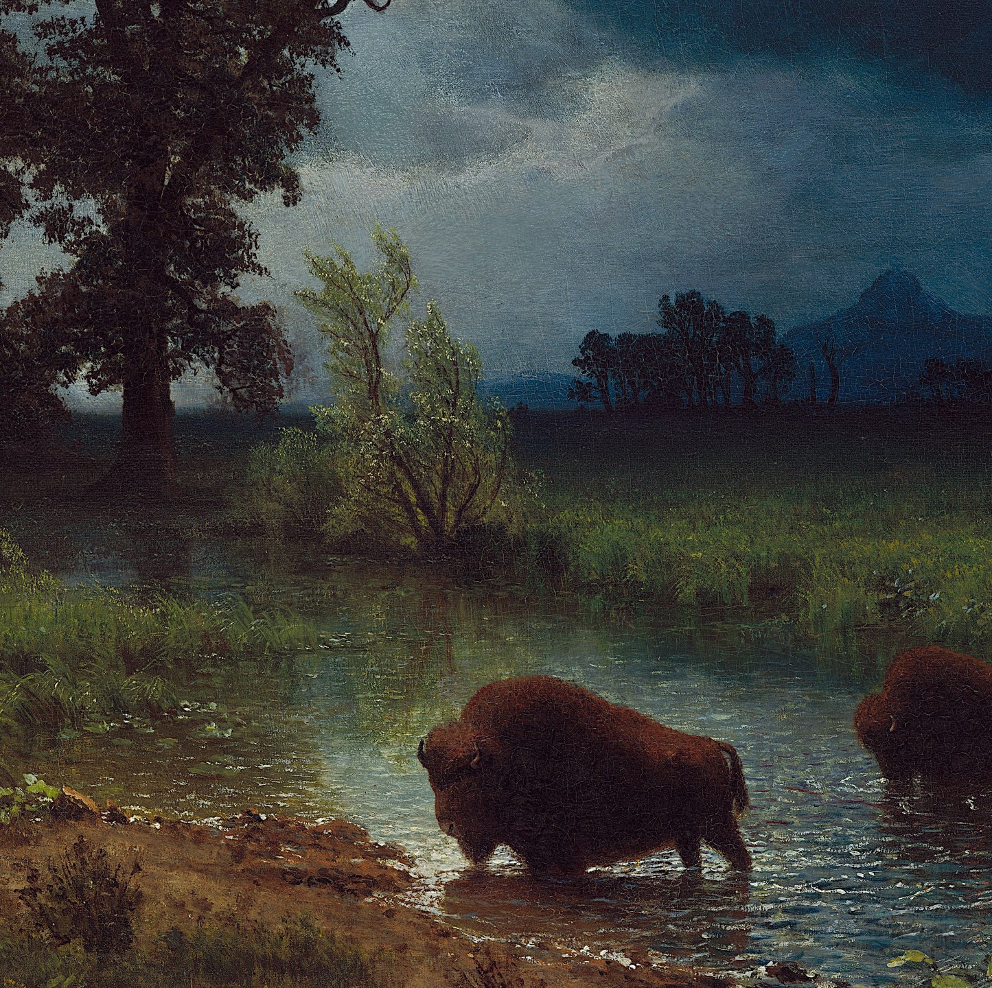 Buffalo Trail, The Impending Storm - Canvas Wrap