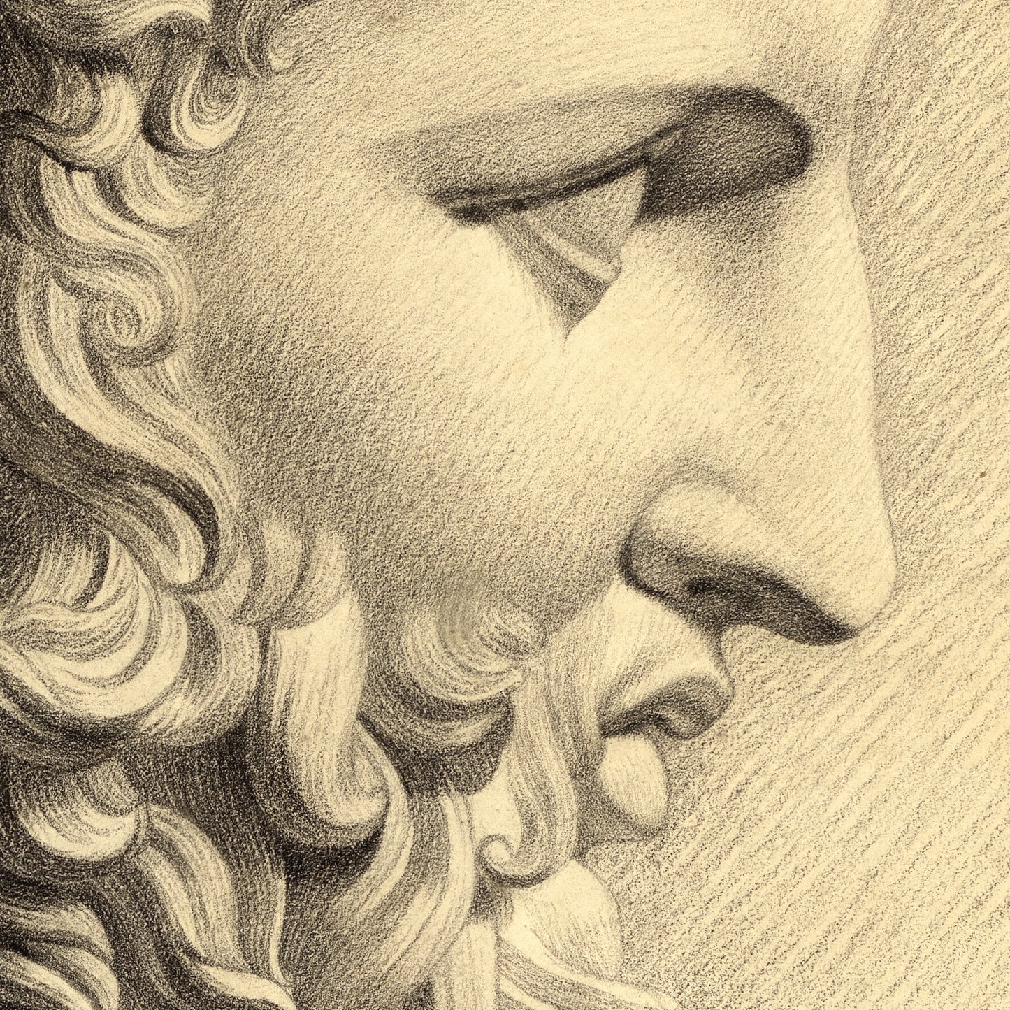 Bust of Hercules - Canvas Wrap