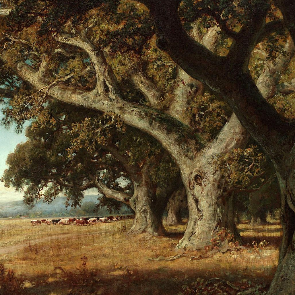 California Ranch - Canvas Wrap