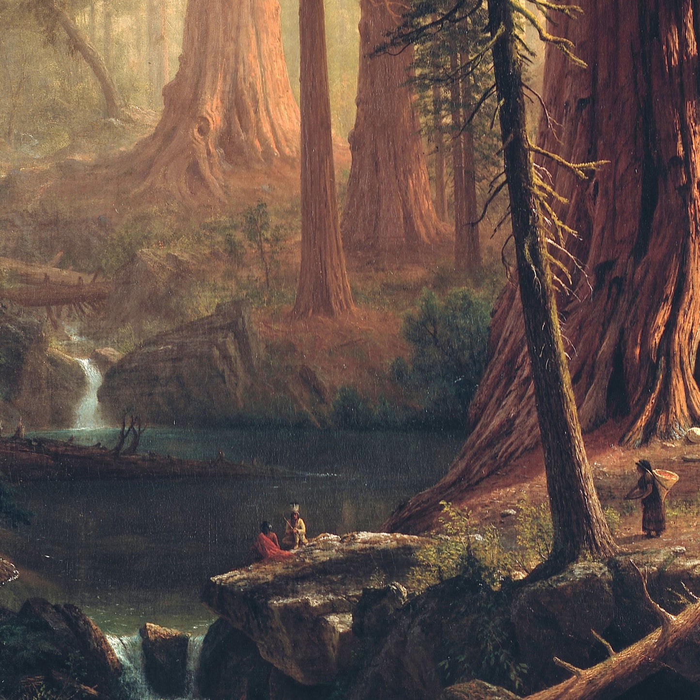 Giant Redwood Trees of California - Canvas Wrap