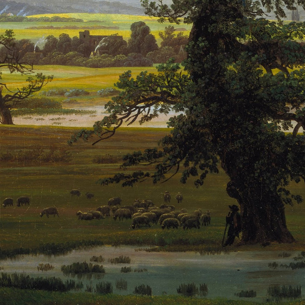 The Lone Tree - Canvas Wrap