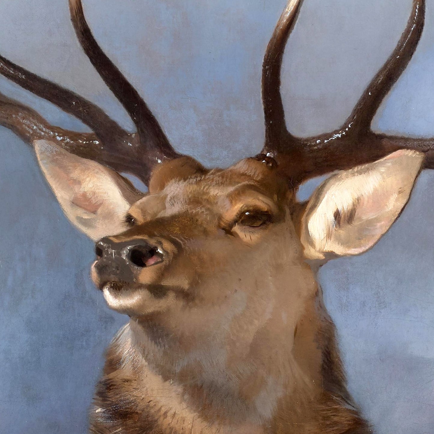 The Monarch of the Glen - Canvas Wrap
