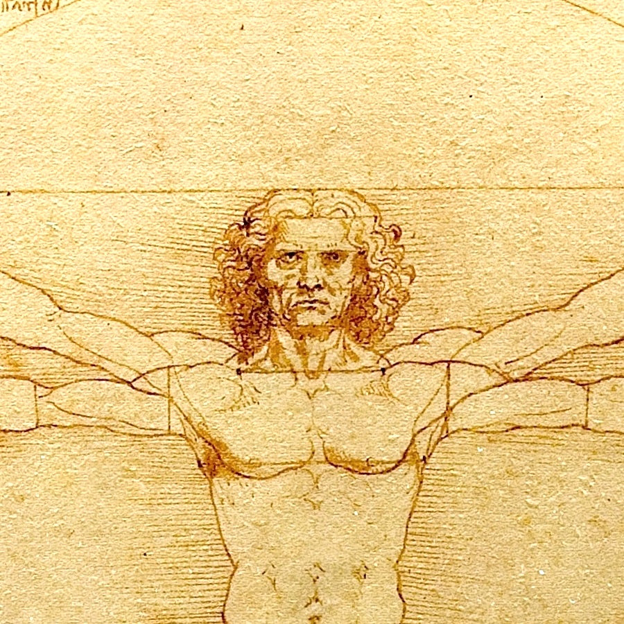 Vitruvian Man - Canvas Wrap
