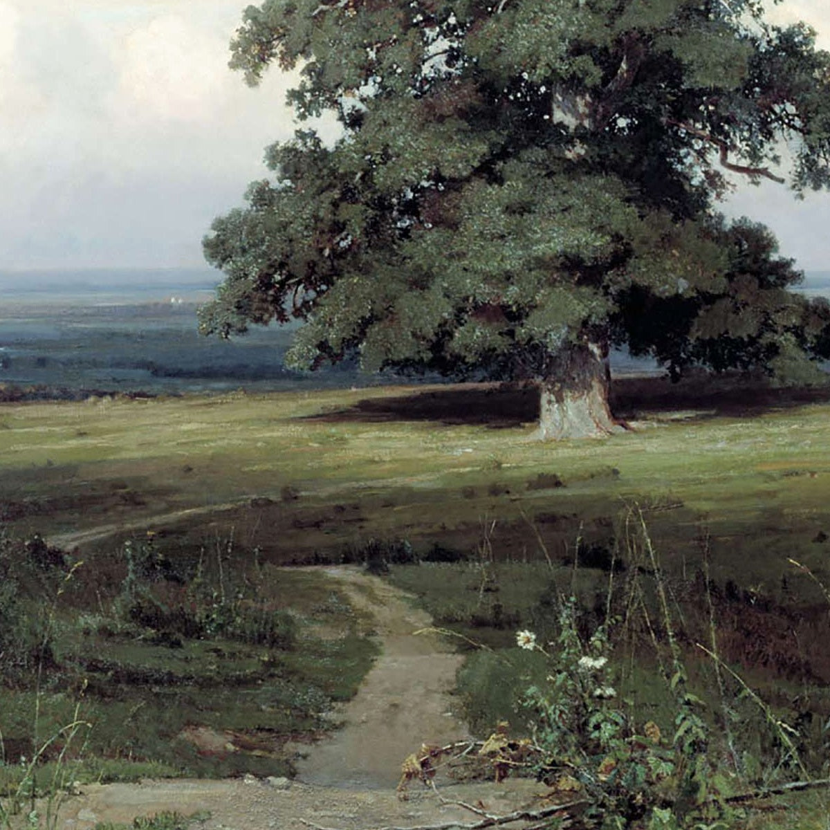 Among the Open Valley - Canvas Wrap