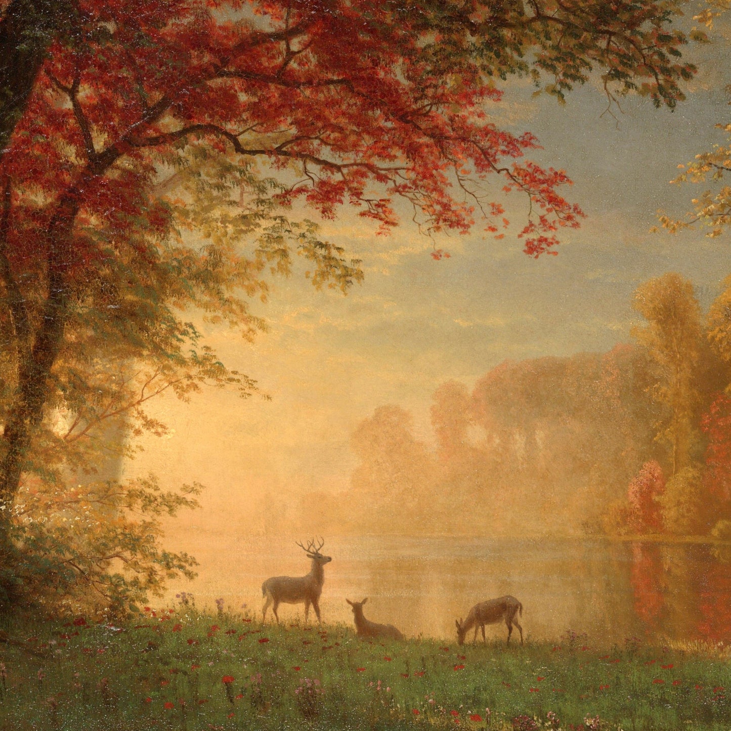 Indian Sunset Deer by a Lake - Canvas Wrap