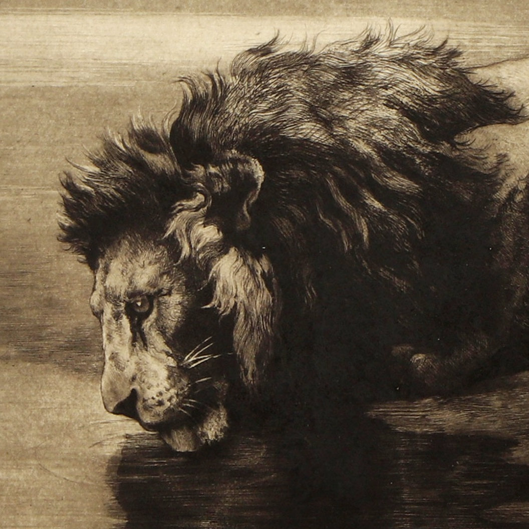Solitude - Canvas Wrap