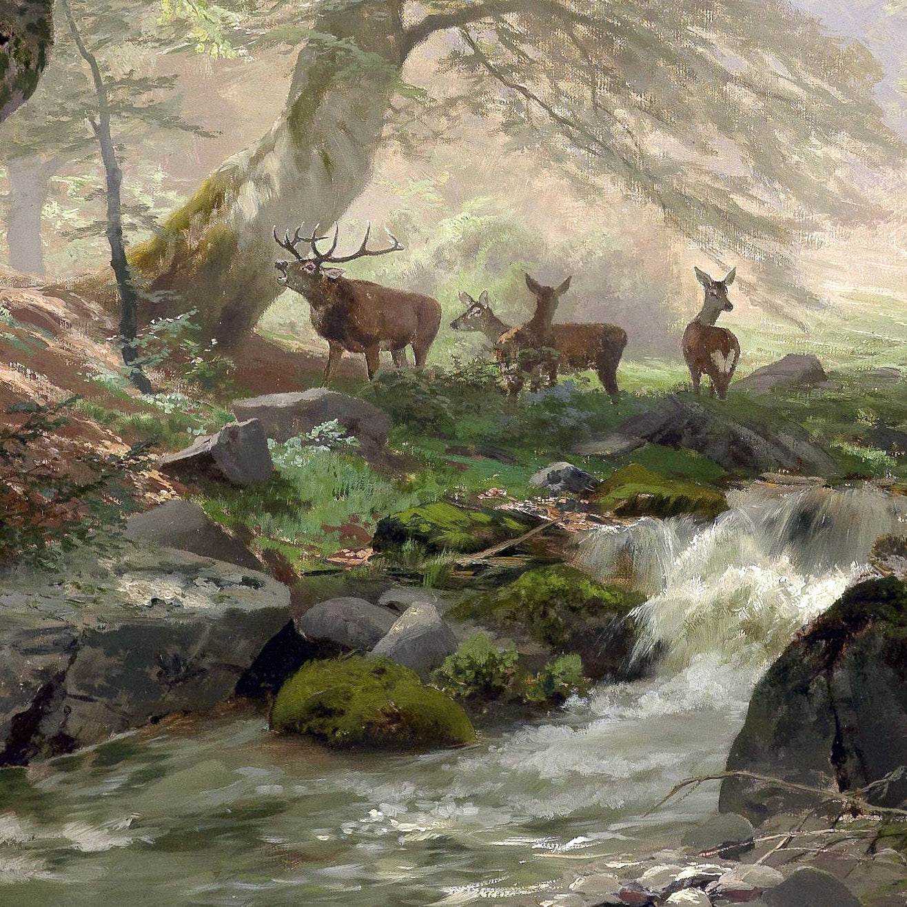 Woodland Landscape with Deer - Canvas Wrap