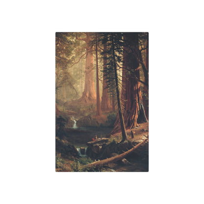 Giant Redwood Trees of California - Metal Print