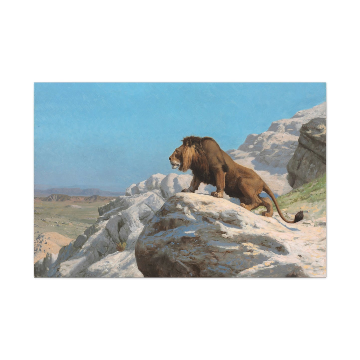 Lion on the Watch - Canvas Wrap