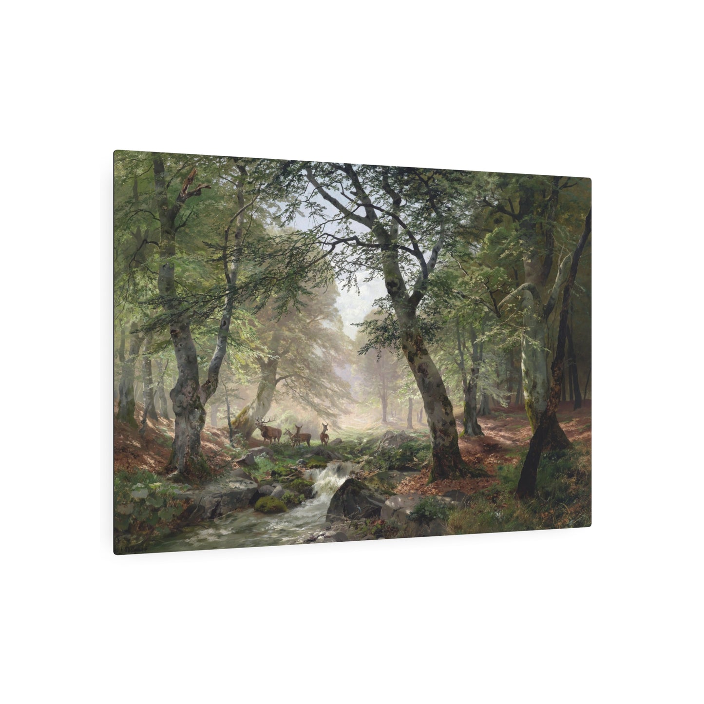 Woodland Landscape With Deer - Metal Print