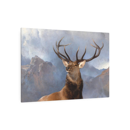 The Monarch of the Glen - Metal Print