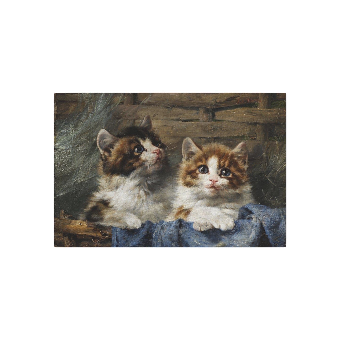 Two Kittens in a Basket - Metal Print