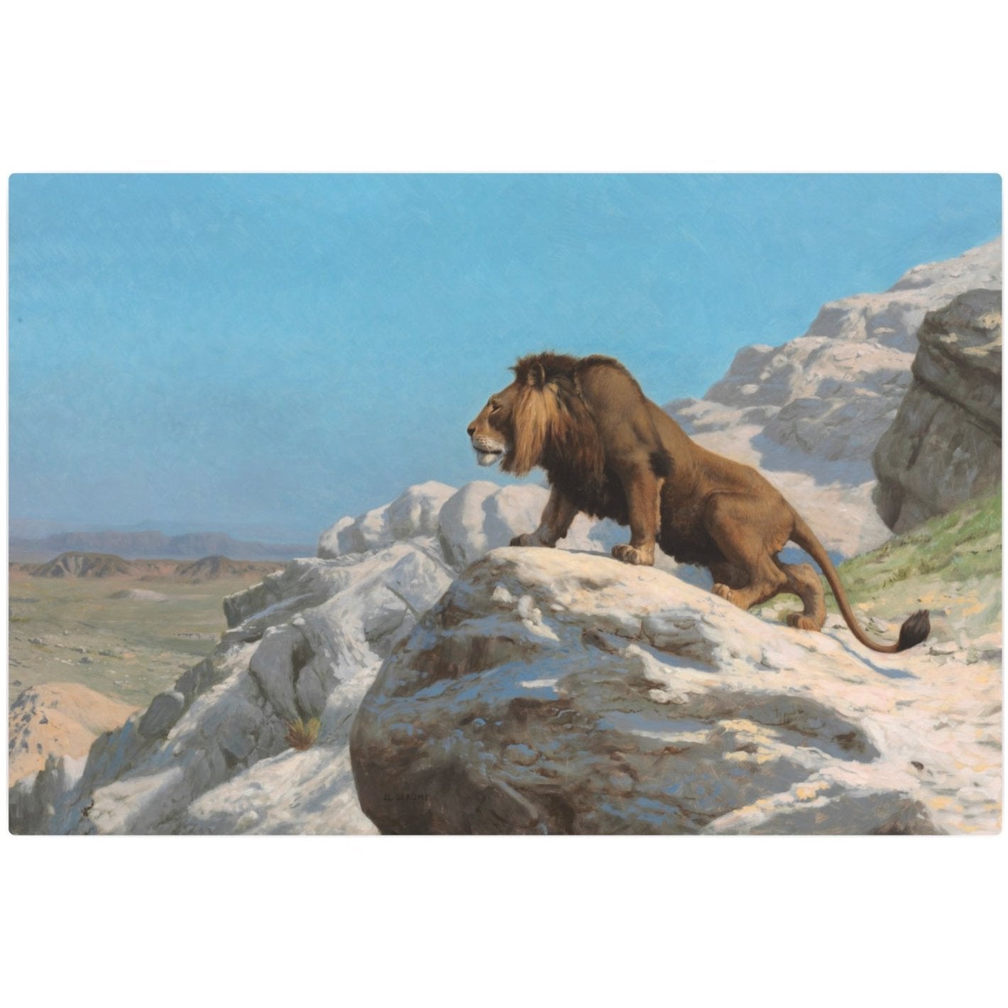 Lion on the Watch - Metal Print